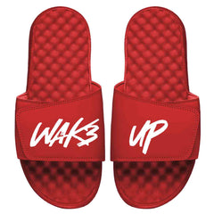 WAKE UP Slides